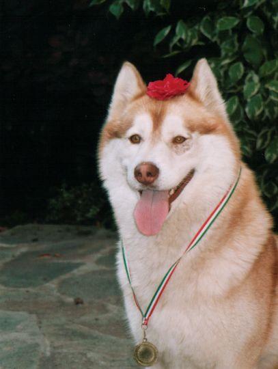 myra (12).jpg